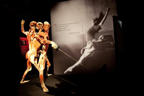 Body Worlds: The Anatomy of Happiness