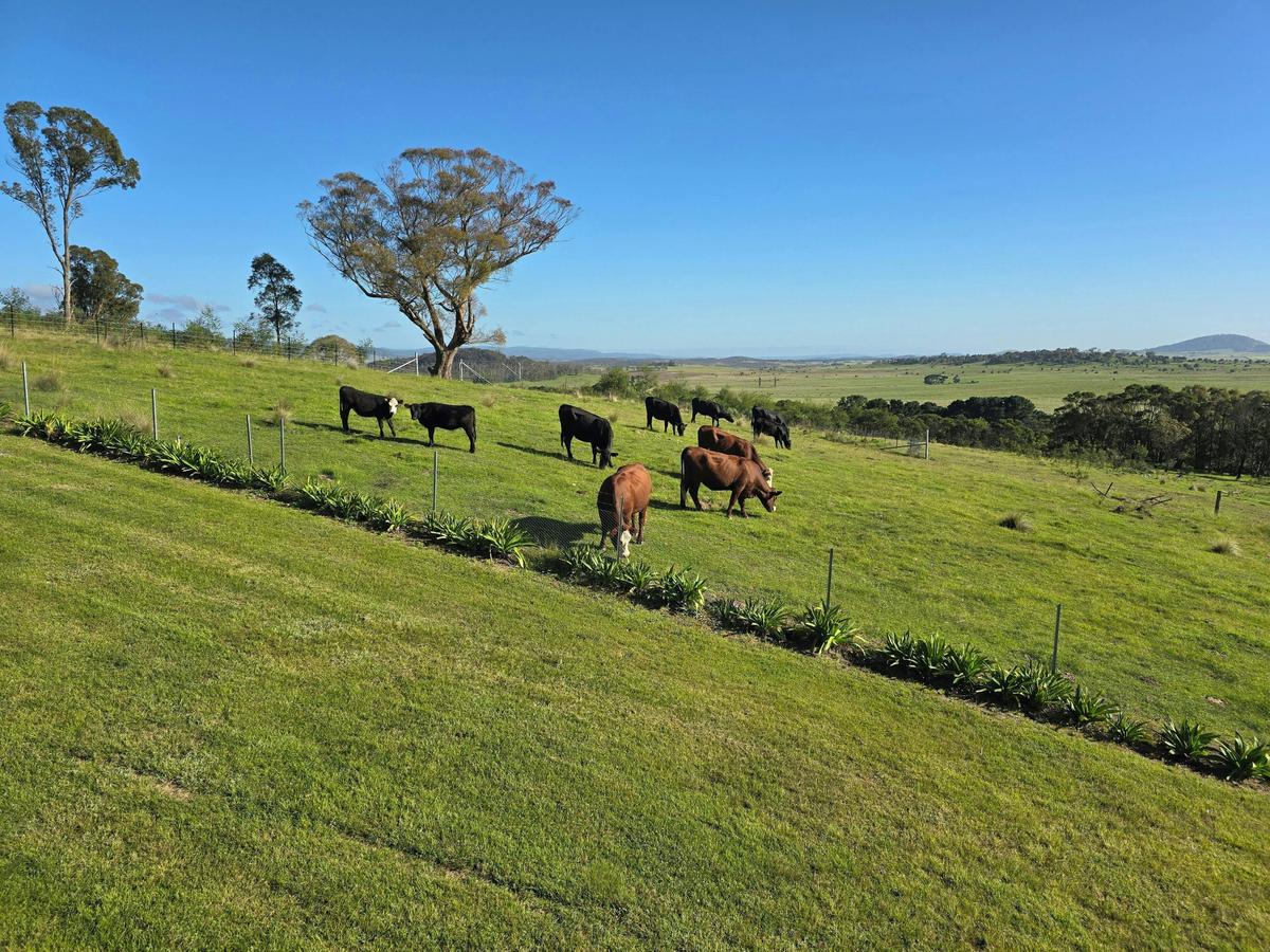 The property views