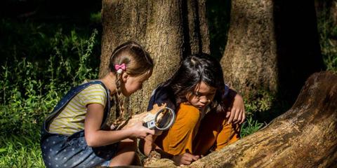 Bushrangers: Treasure Hunters