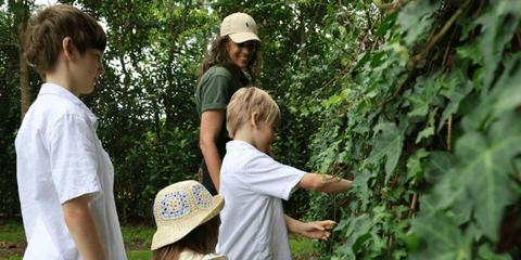 Treasure Island: School Holidays at Fernhill Estate