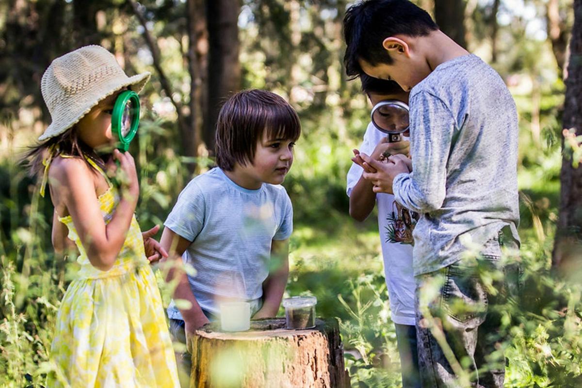 Park Science: Incredible Insects
