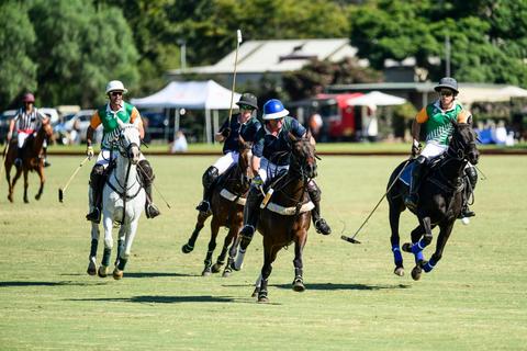 Windsor Polo Club Tournament