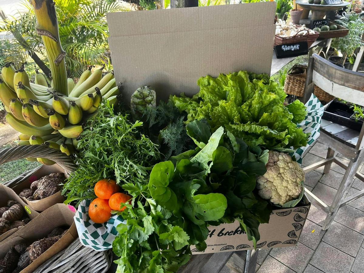 The Paddock Project Veggie Box