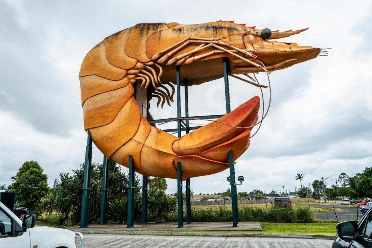 The BIG Prawn