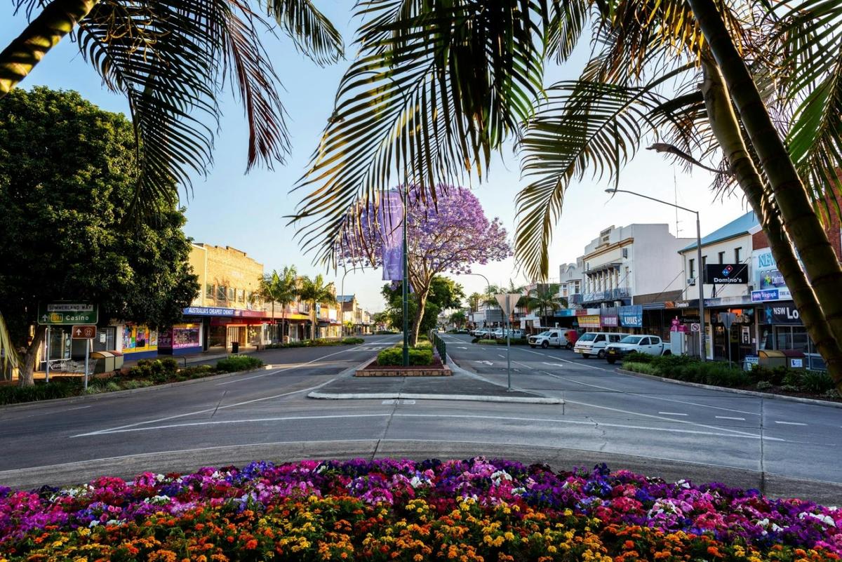 Grafton - Jacaranda's