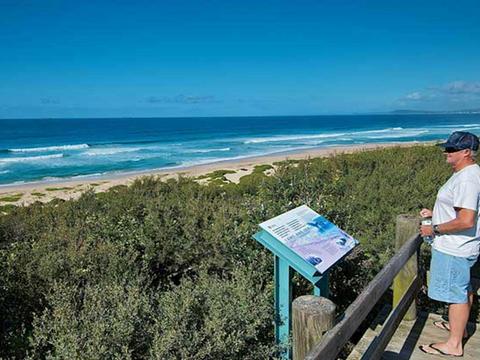 Pelican Beach Road lookout