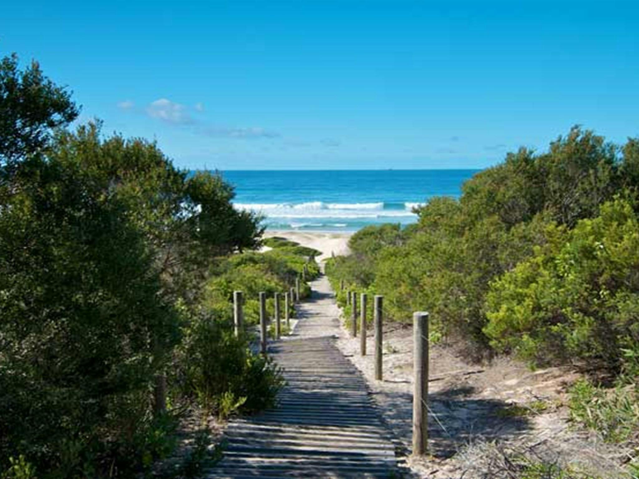 Track to Pelican Beach. Photo: John Spencer