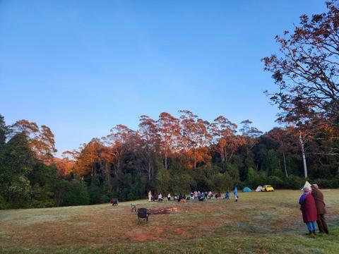 Forest Voices Bird Language Retreat