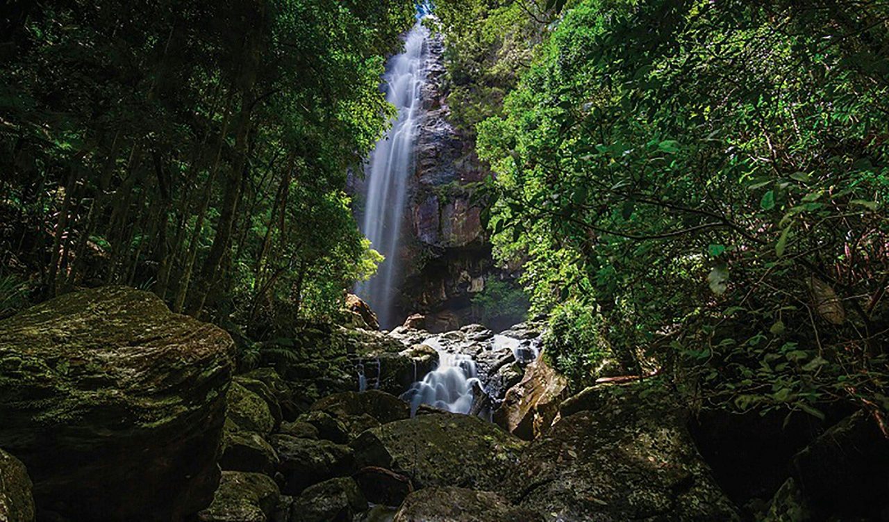 Protestors Falls walking track