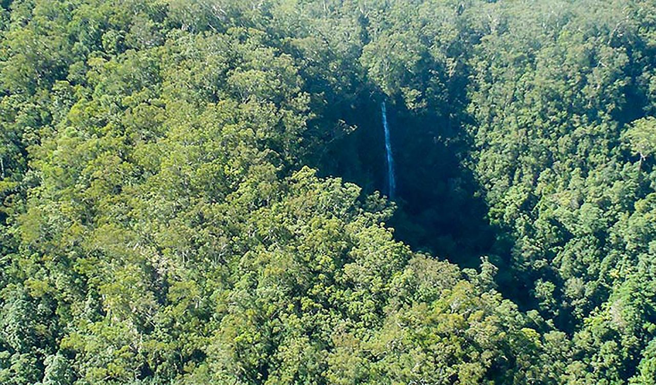 Protestors Falls walking track