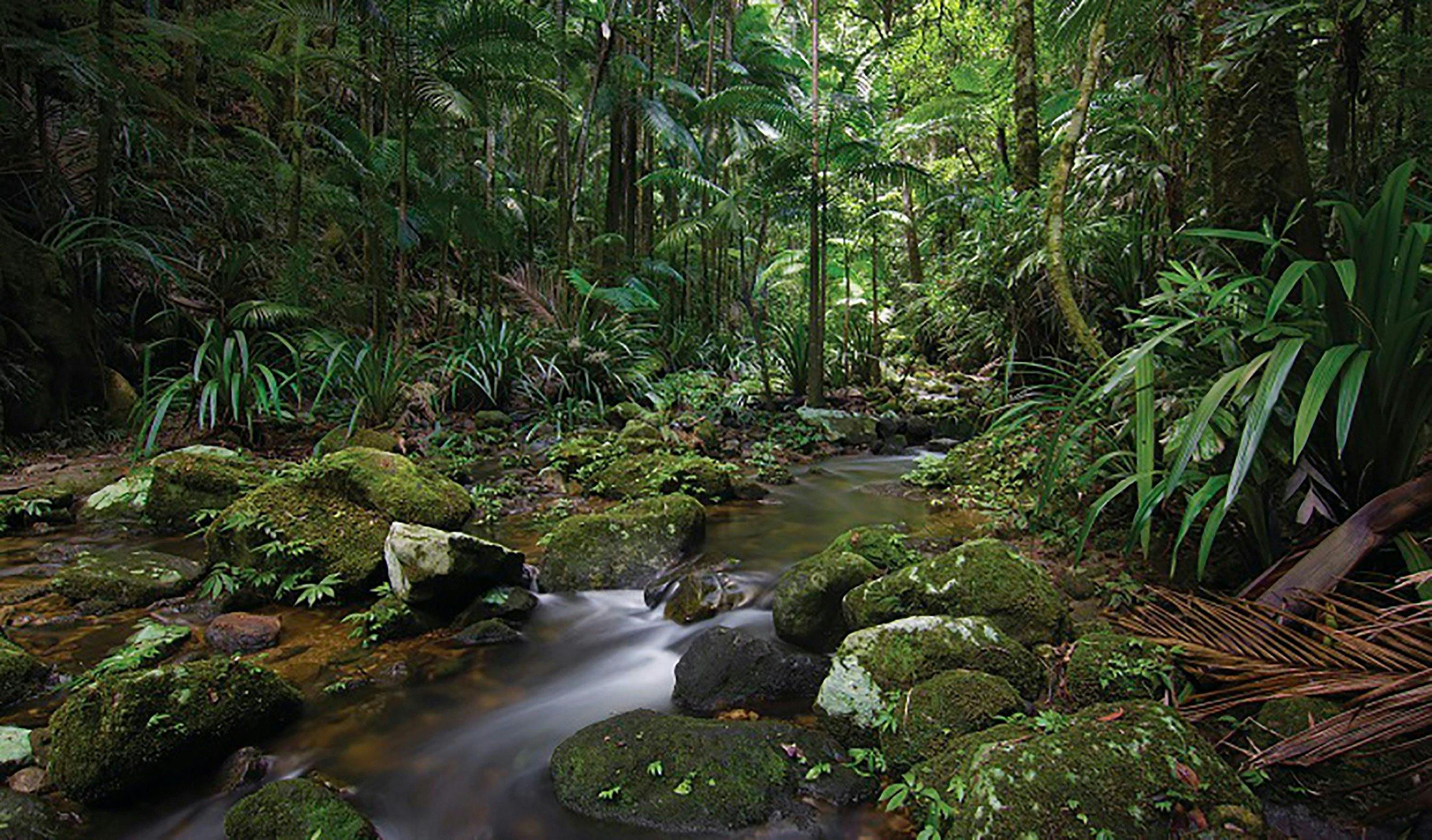 Protestors Falls walking track