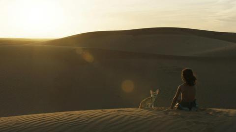Africa Film Fest Australia