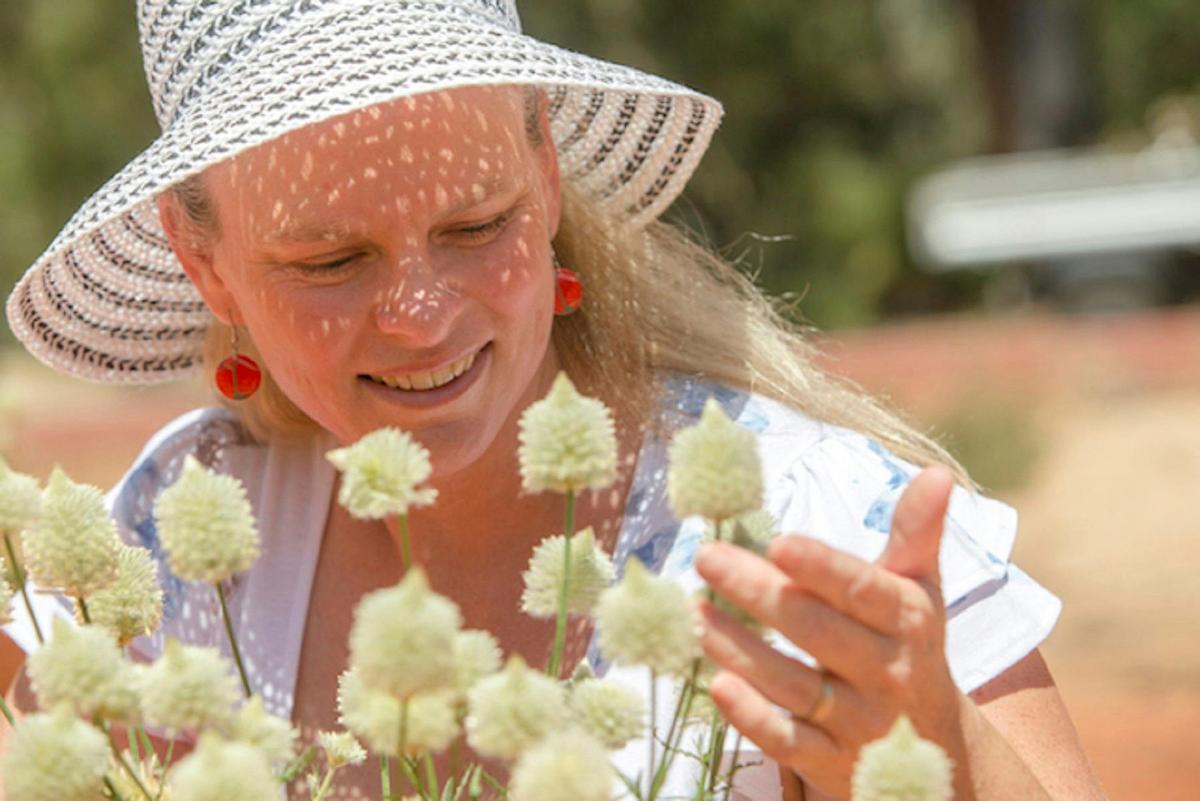 See the diversity of Australian native flowers at the Gardens