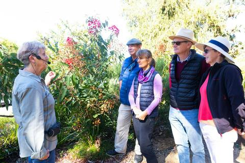 Daily Guided Walks