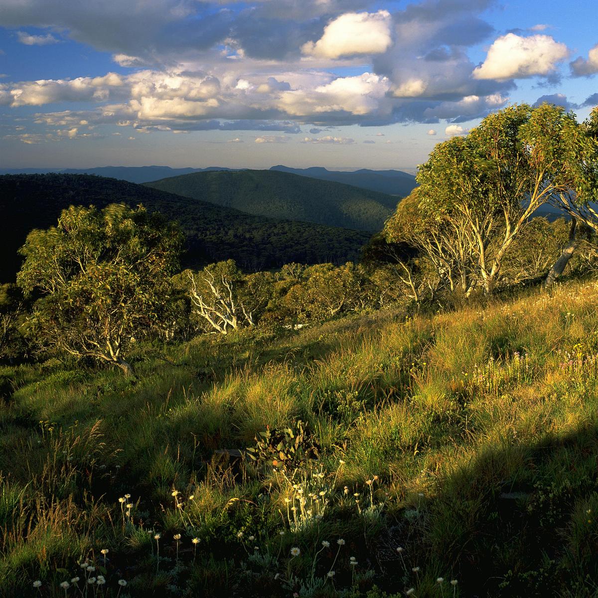 Mt Ginini at sunset