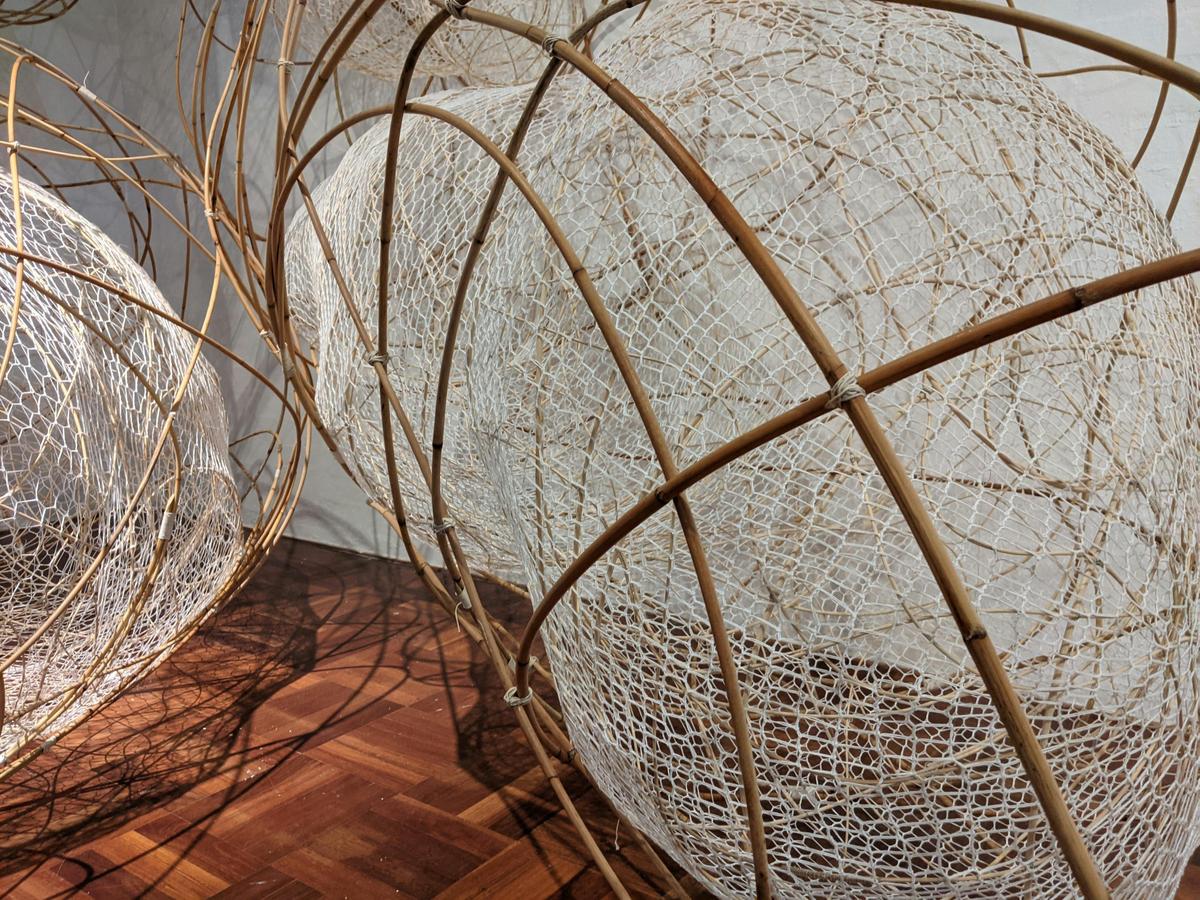 Installation view of Lea Douglas' exhibition