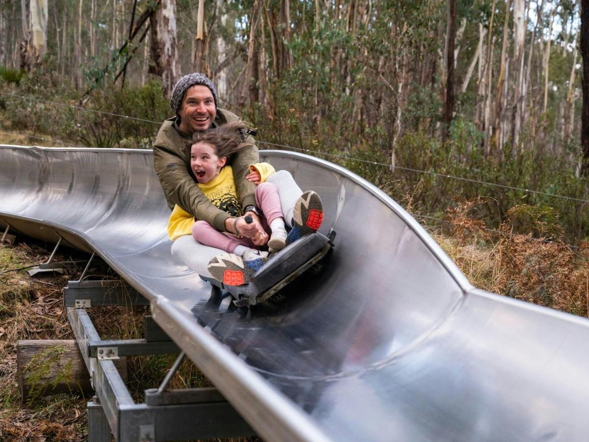 Alpine Slide