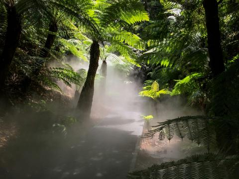 Australian National Botanic Gardens