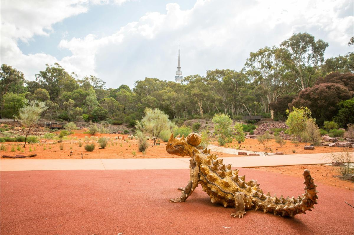 Red Centre Garden