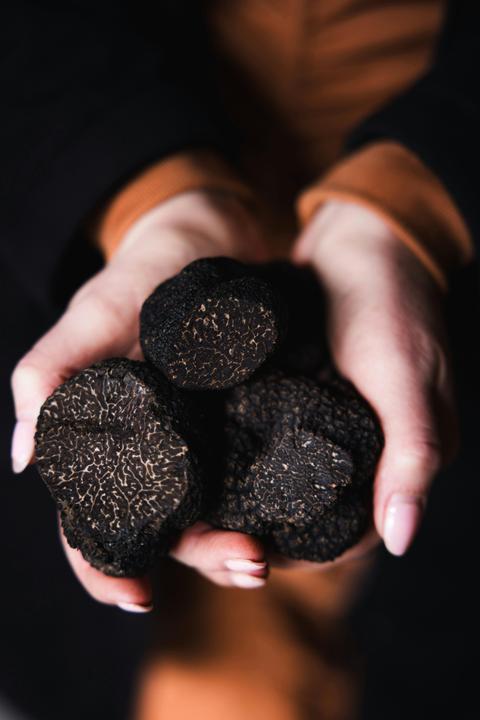 Beltana Farm - Truffle Hunts