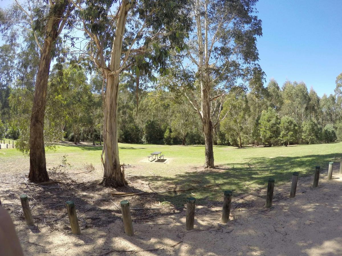 Beautiful clearing for picnics