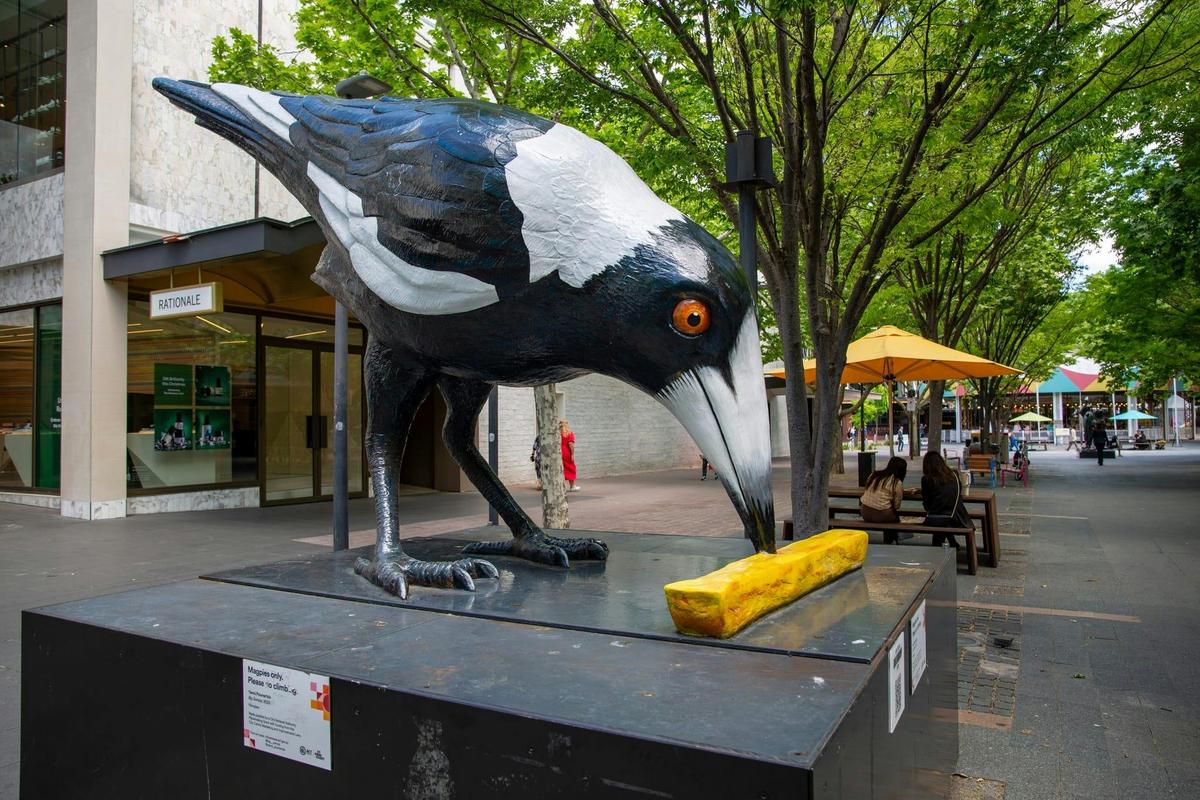 Big Swoop Canberra