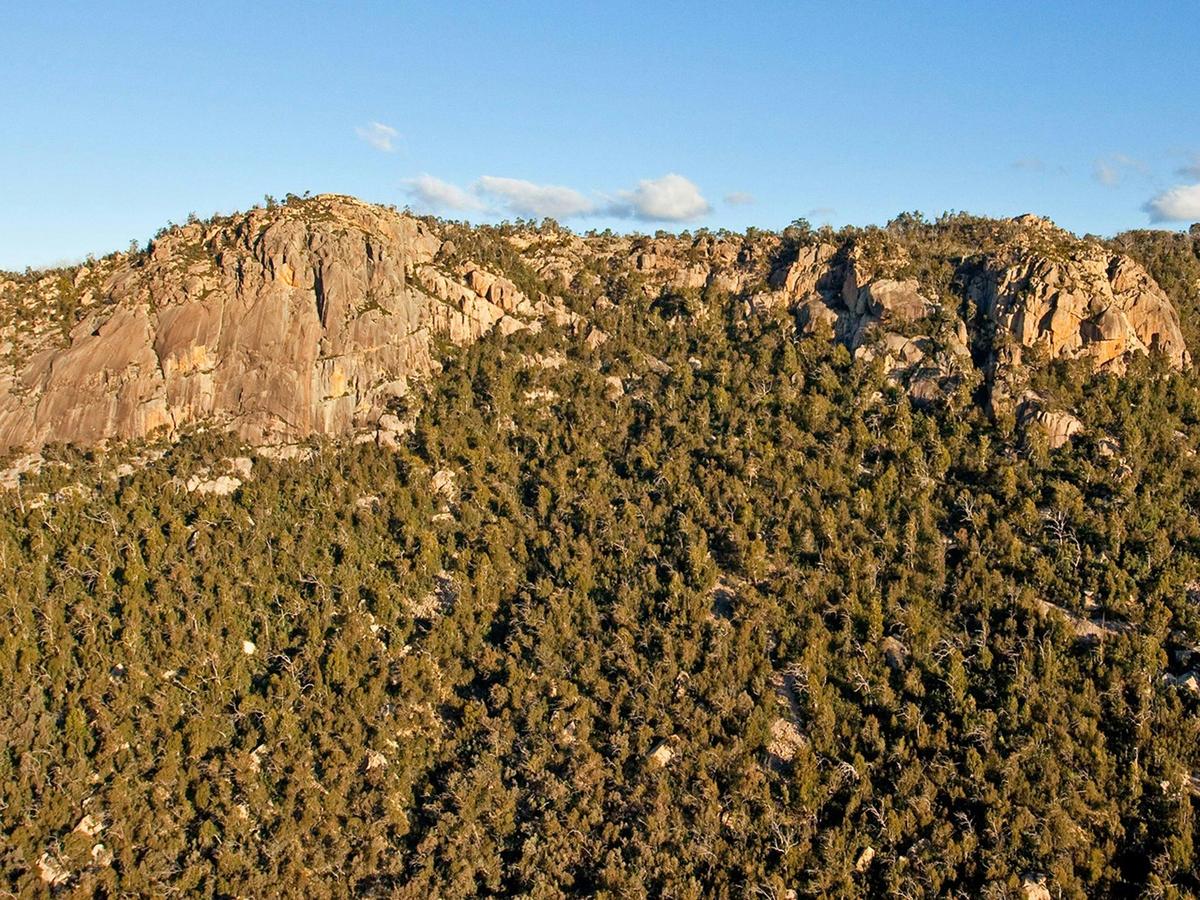 Booroomba Rocks (Detail). Photo courtesy of Barry Armstead