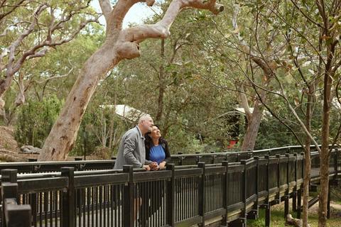 Port Stephens Koala Sanctuary