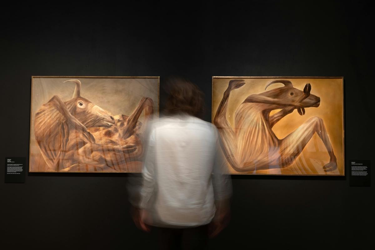 Sidney Nolan, Carcass (Install view), 1953, Canberra Museum + Gallery