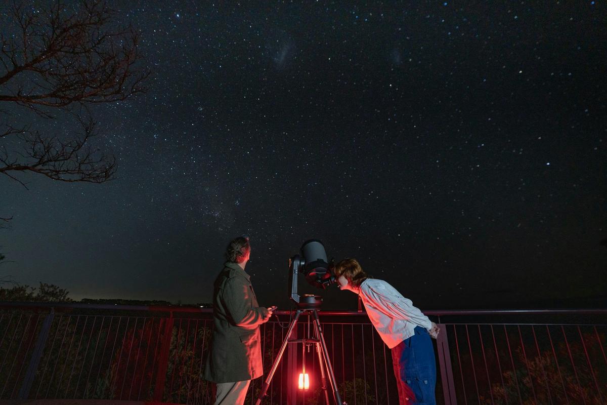 Wine Tasting Stargazing at Mount Majura