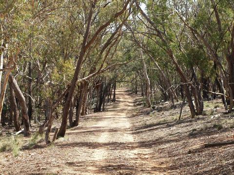 Gungahlin Heritage Trail