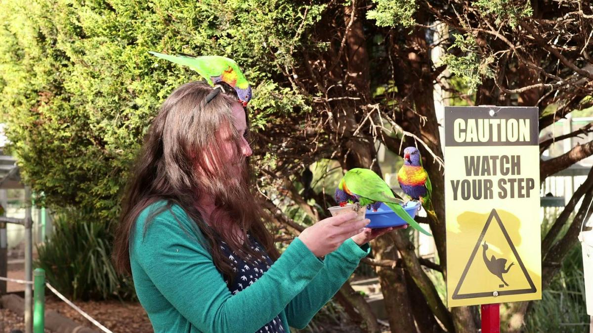 Feeding the birds at the Walkin Aviary Nikki