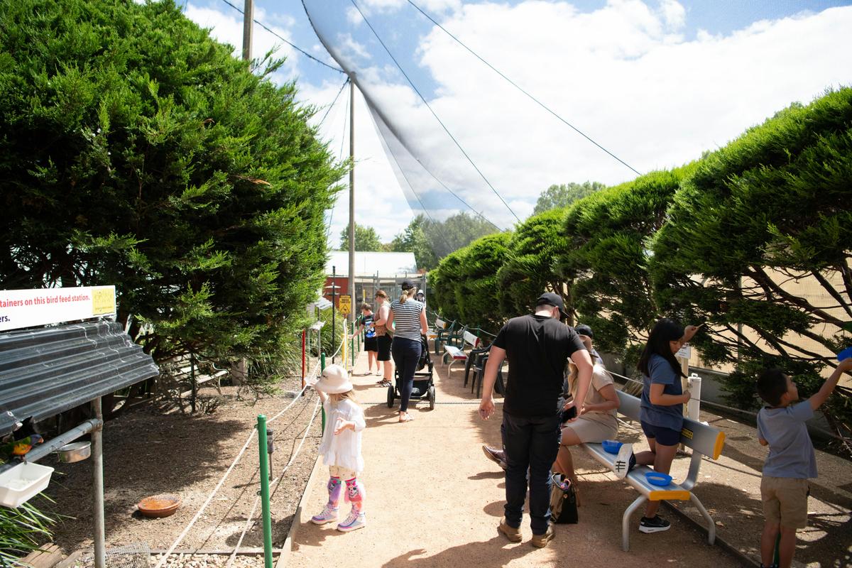 Entrance path with customers feeding the birds