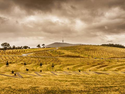 Highlights of Canberra Tour