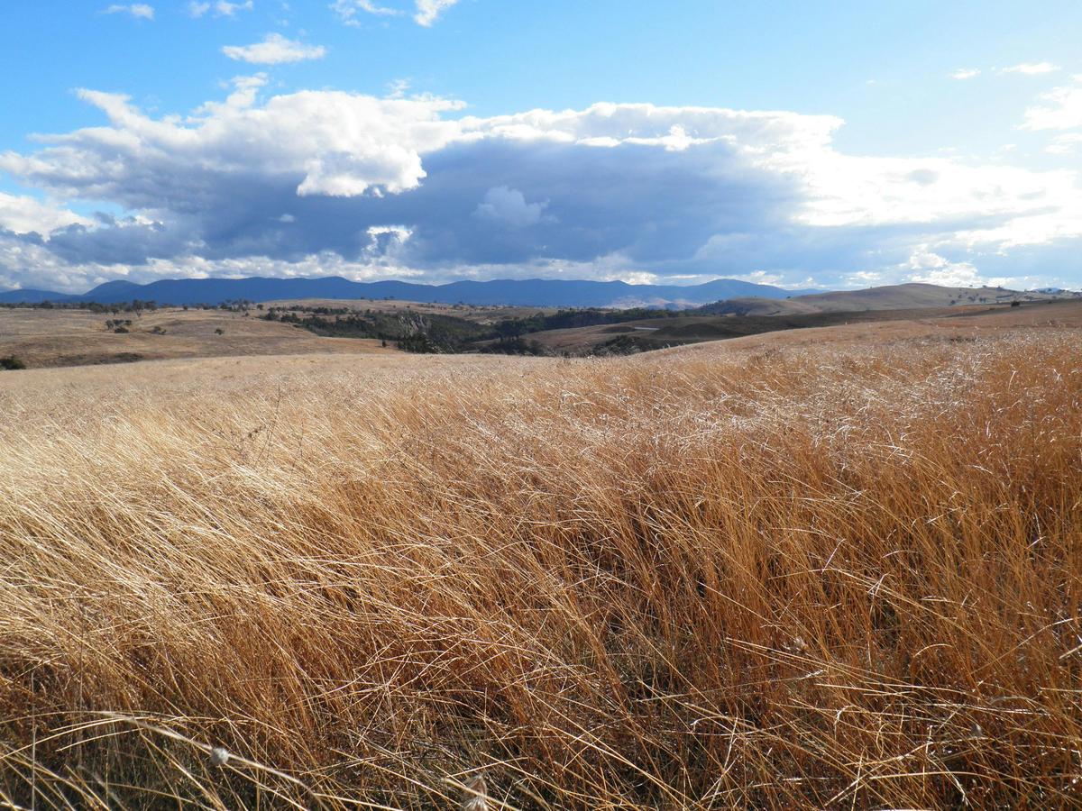 Kama Nature Reserve, Canberra Nature Park