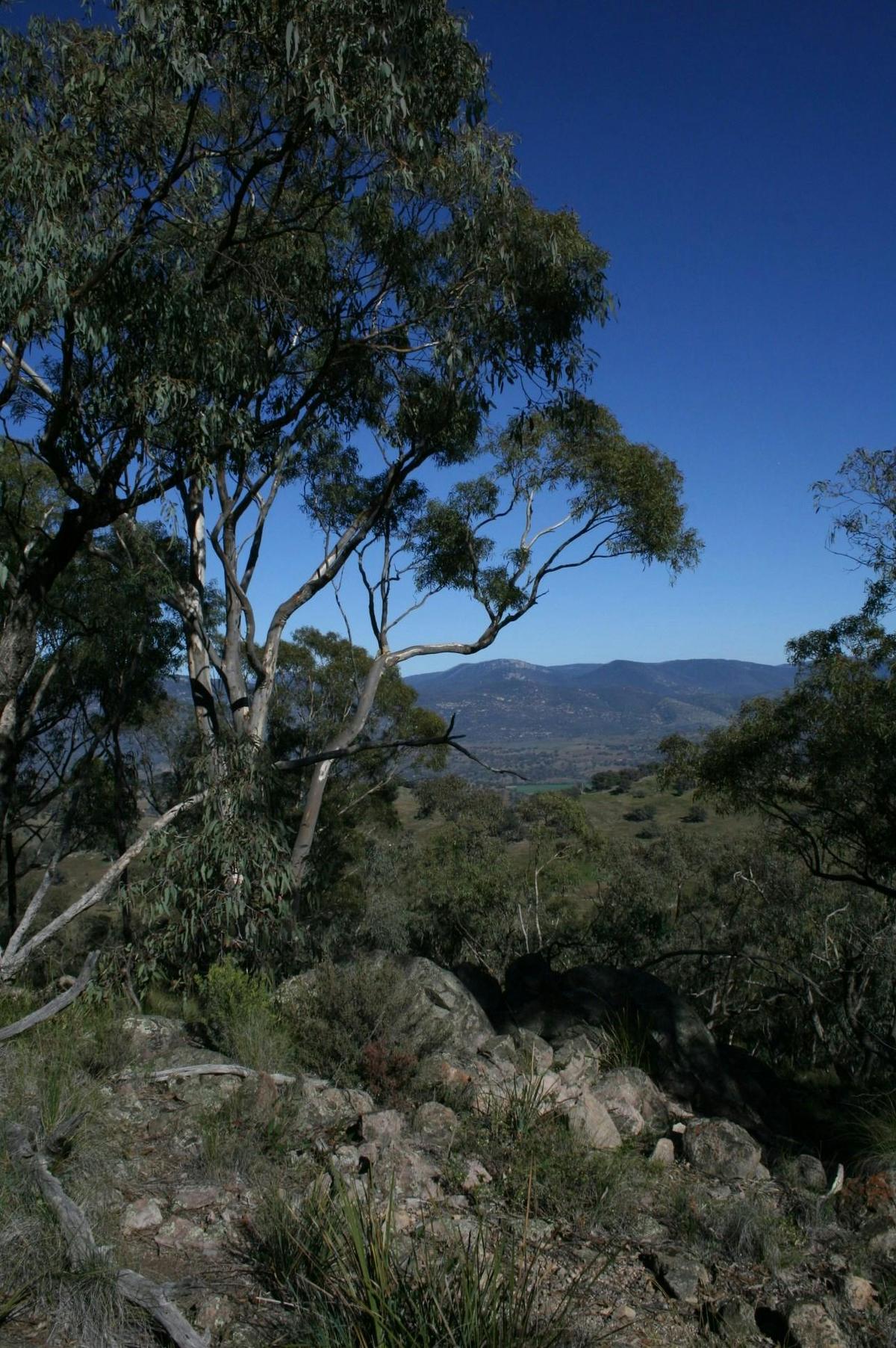View from Rob Roy Nature Reserve