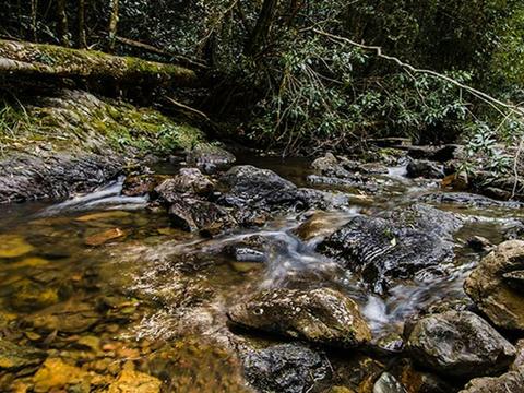 Potoroo Falls picnic area