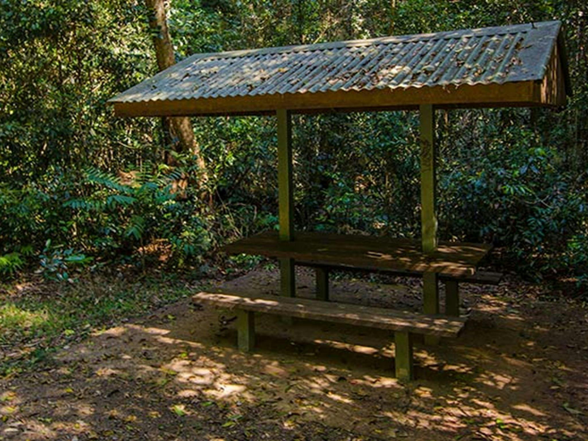 Potoroo Falls picnic area, Tapin Tops National Park. Photo: John Spencer/OEH
