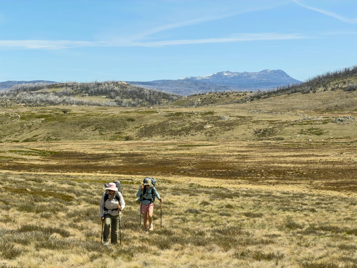 Australian Alps Walking Track: Canberra to Kosciuszko