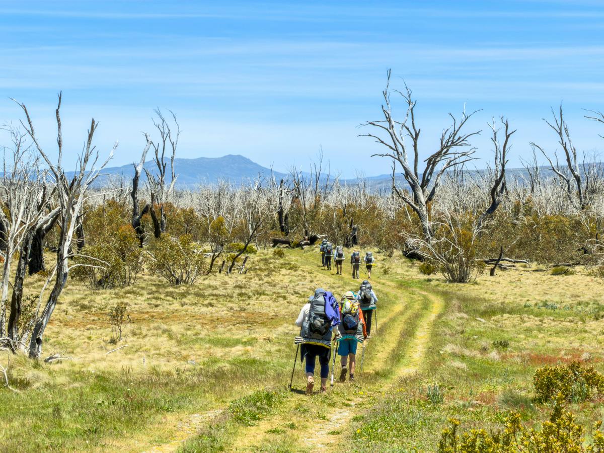 Kiandra to Kosciuszko Hike