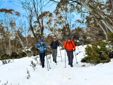Snowies Intro To Snow Camping
