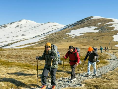 Snowies Alpine Walk
