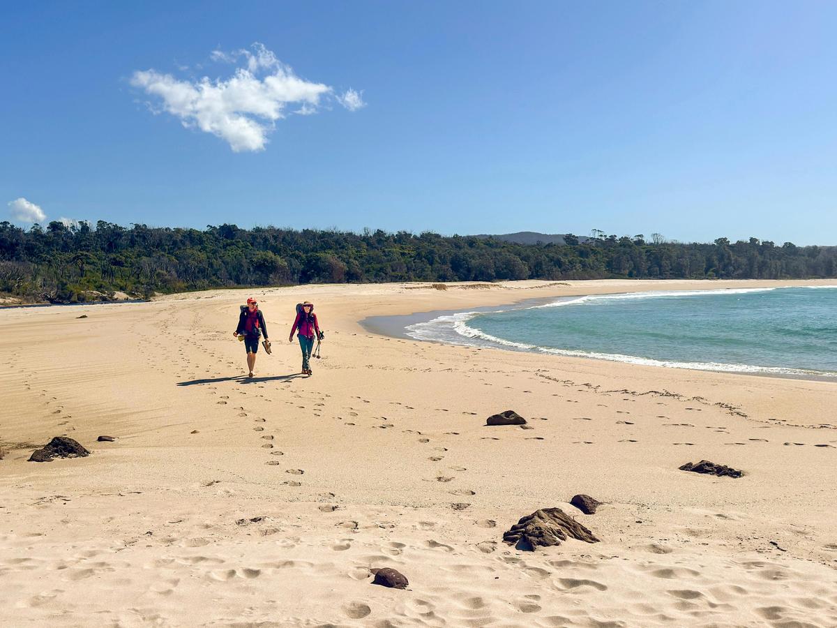 Paint & Hike: Sapphire Coast