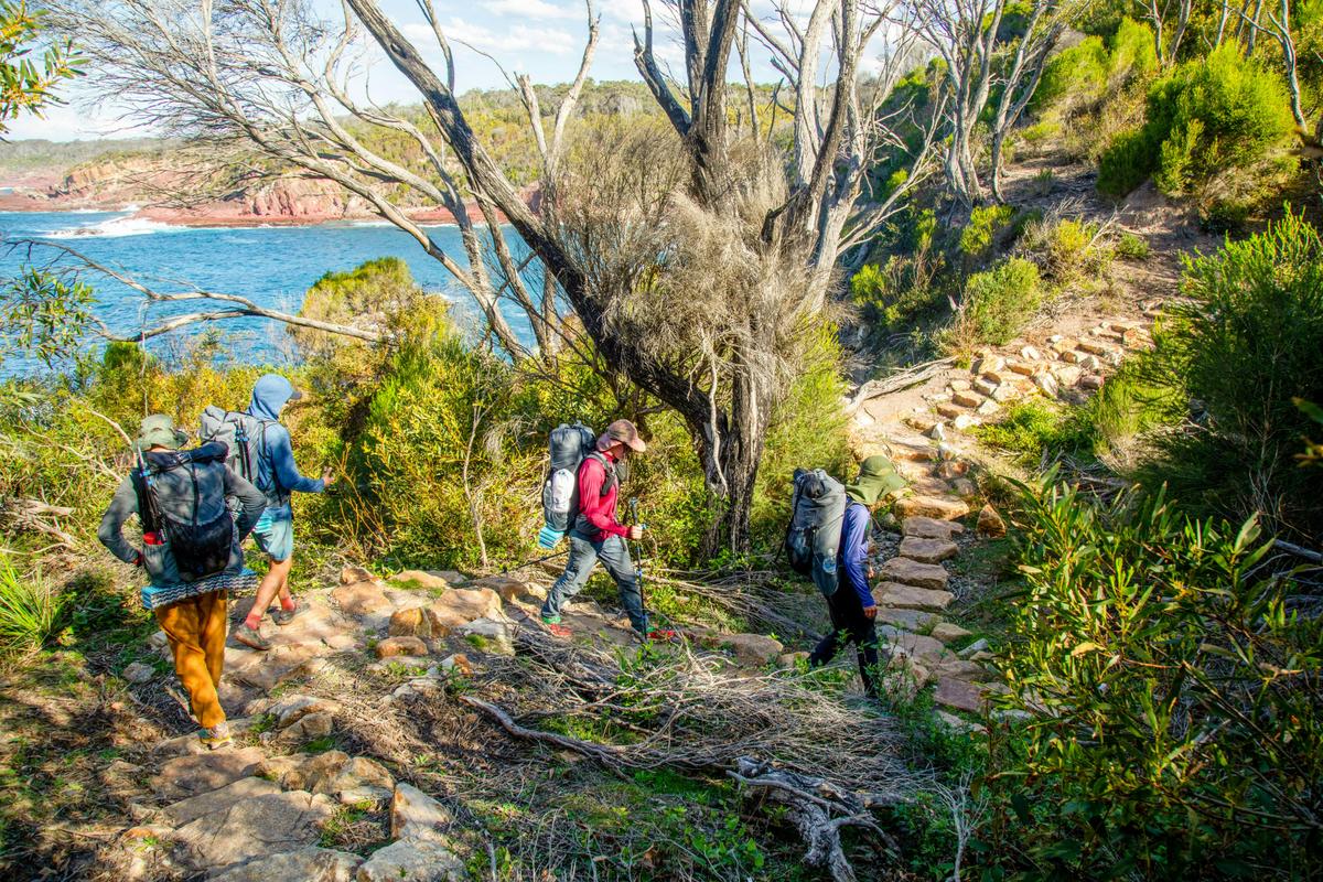 Paint & Hike: Sapphire Coast