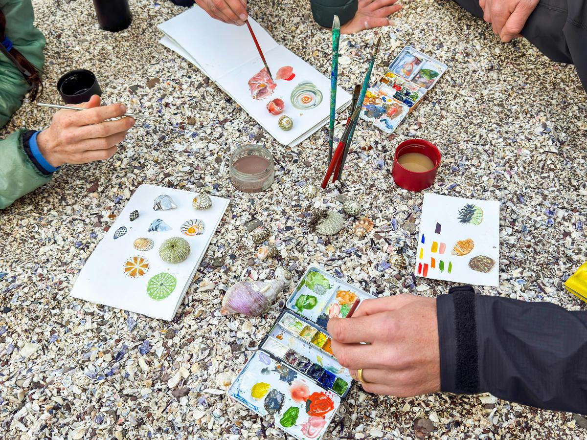Paint & Hike: Sapphire Coast