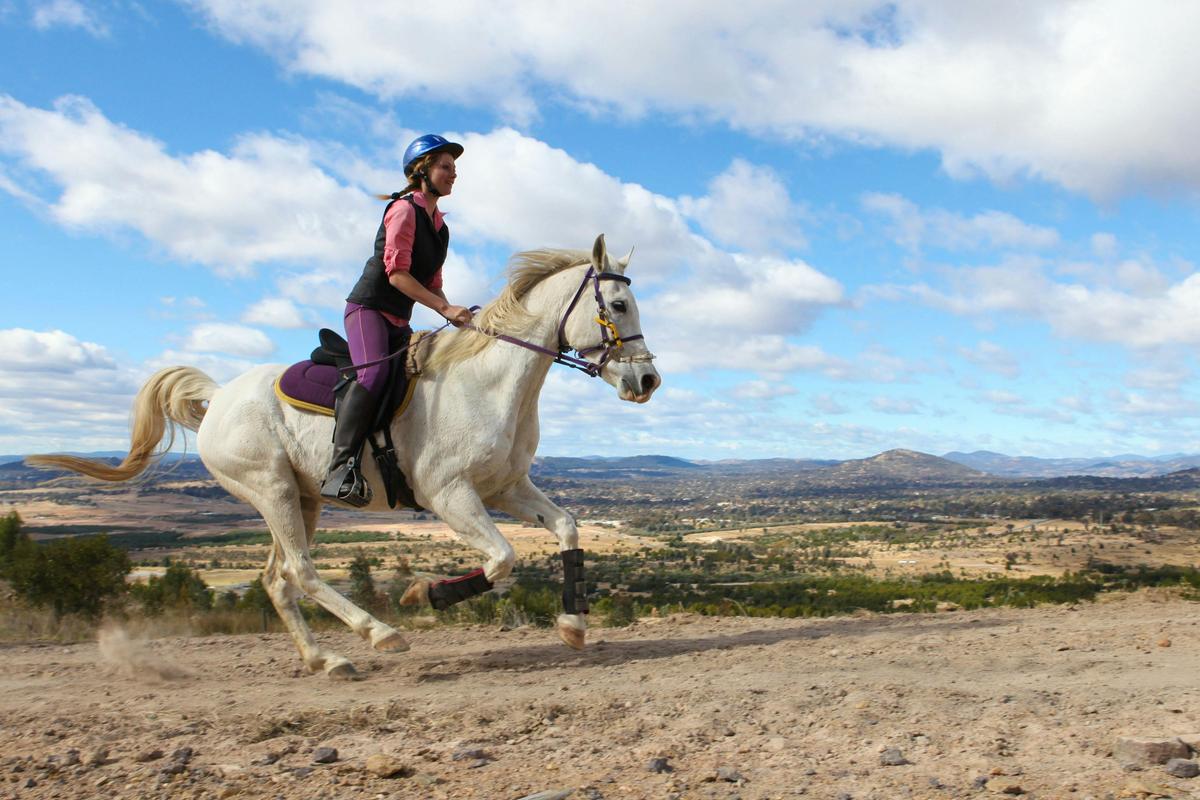 Ideal for equestrian activities