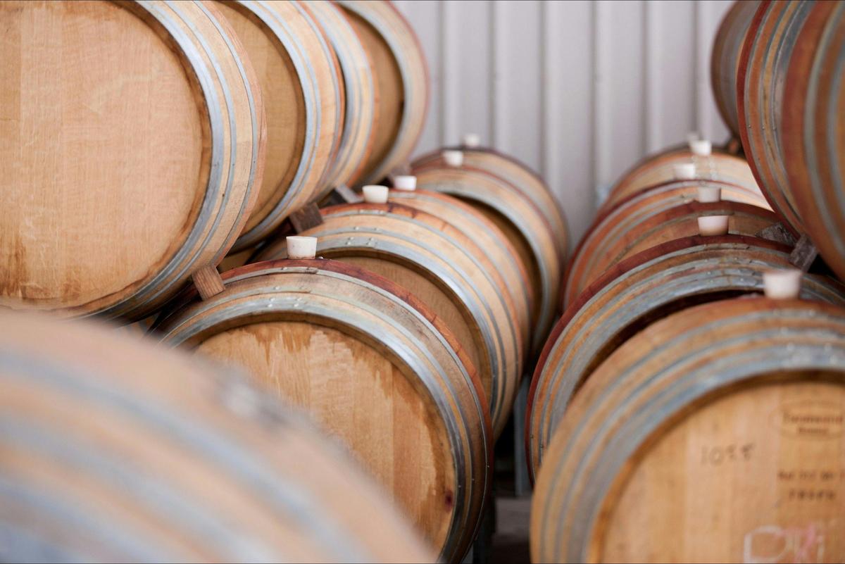 From the vines to the barrels
