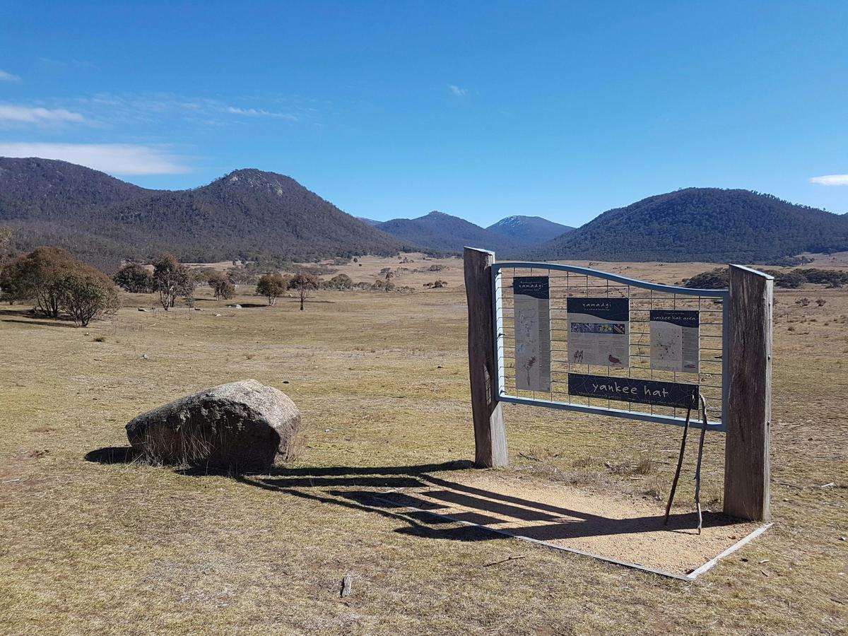 Yankee Hat walking trail