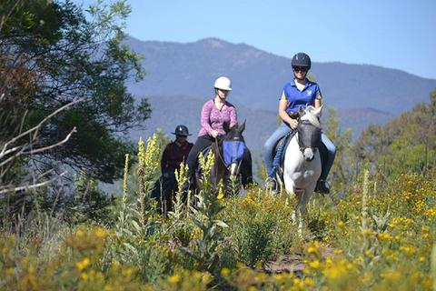 Forest Park Riding and Equitation School
