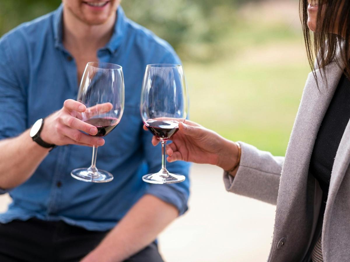 Cheers - VAN DU VIN winery tours Canberra